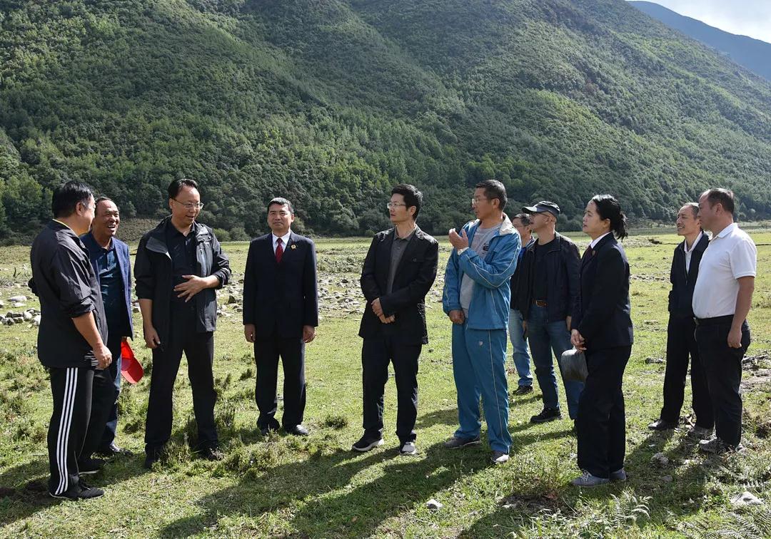 10.15大理州檢察機關開展保護蒼山高山草甸生物多樣性公益訴訟“回頭看”.jpg